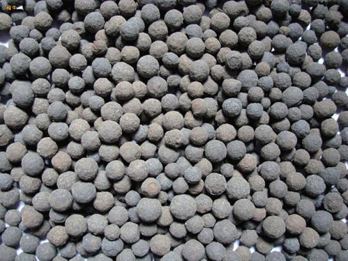 生物陶粒滤料报价 厂家