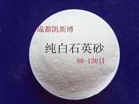 公司简介