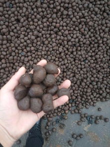 思茅粘土陶粒滤料 聚焦渤泰建材回填陶粒厂的专业优势