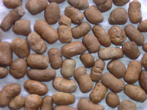 沈阳陶粒滤料 页岩陶粒的优势与应用