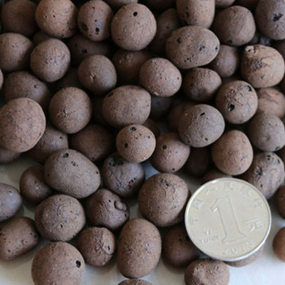 园艺陶粒、建筑陶粒与绿化回填陶粒的多功能应用